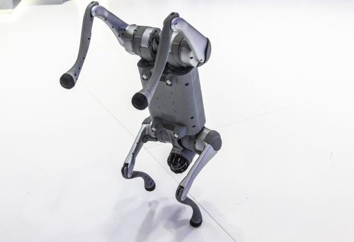 চীনা রোবটকে নিজেদের দাবি, এআই সামিট থেকে বাদ ভারতীয় বিশ্ববিদ্যালয়