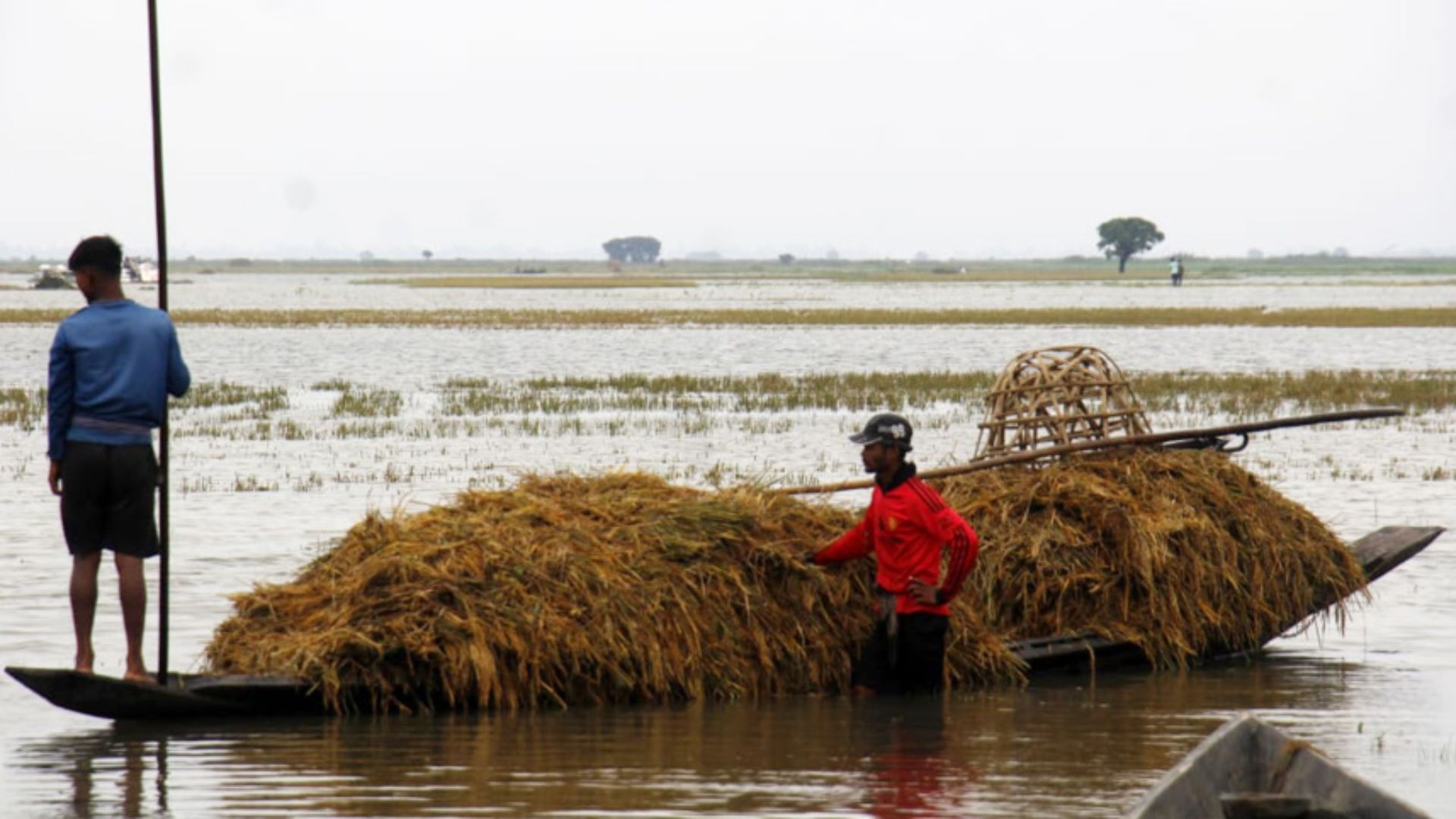 হাওরের বন্যায় ১০৪৭ কোটি টাকার ফসলের ক্ষতি