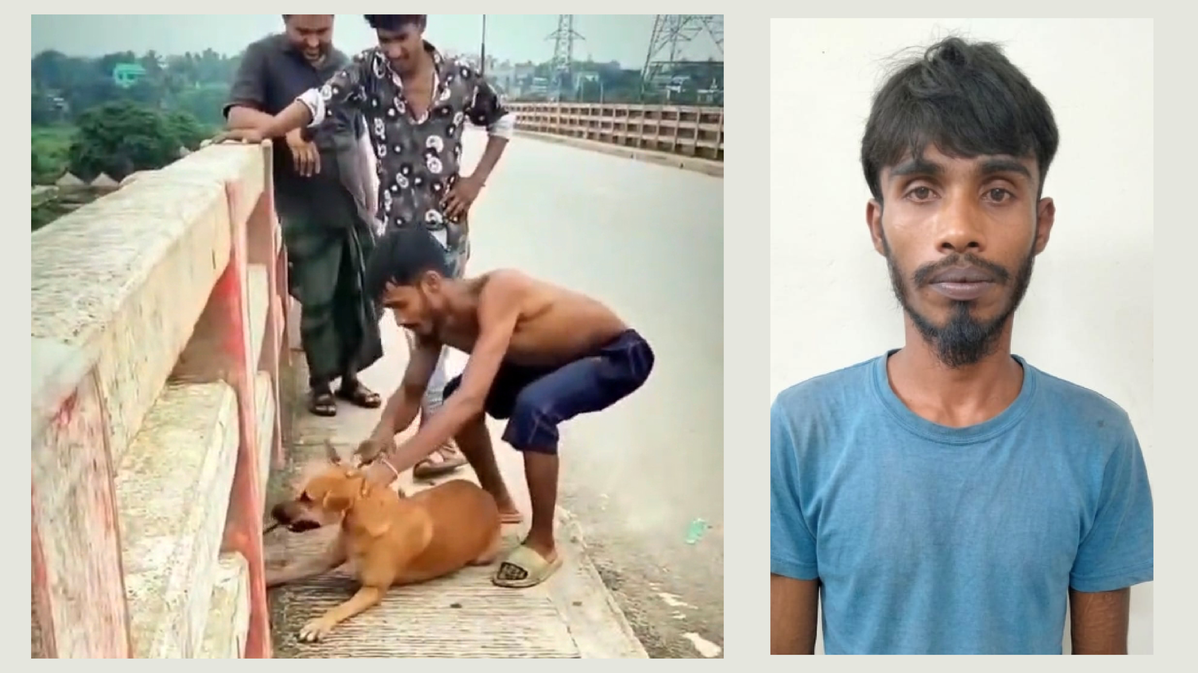নরসিংদীতে কুকুরের গলায় ইট বেঁধে নদীতে ফেলা তরুণ আটক