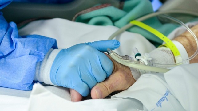 মার্চ থেকে সরকারি হাসপাতালেই চেম্বার করতে পারবেন চিকিৎসকরা