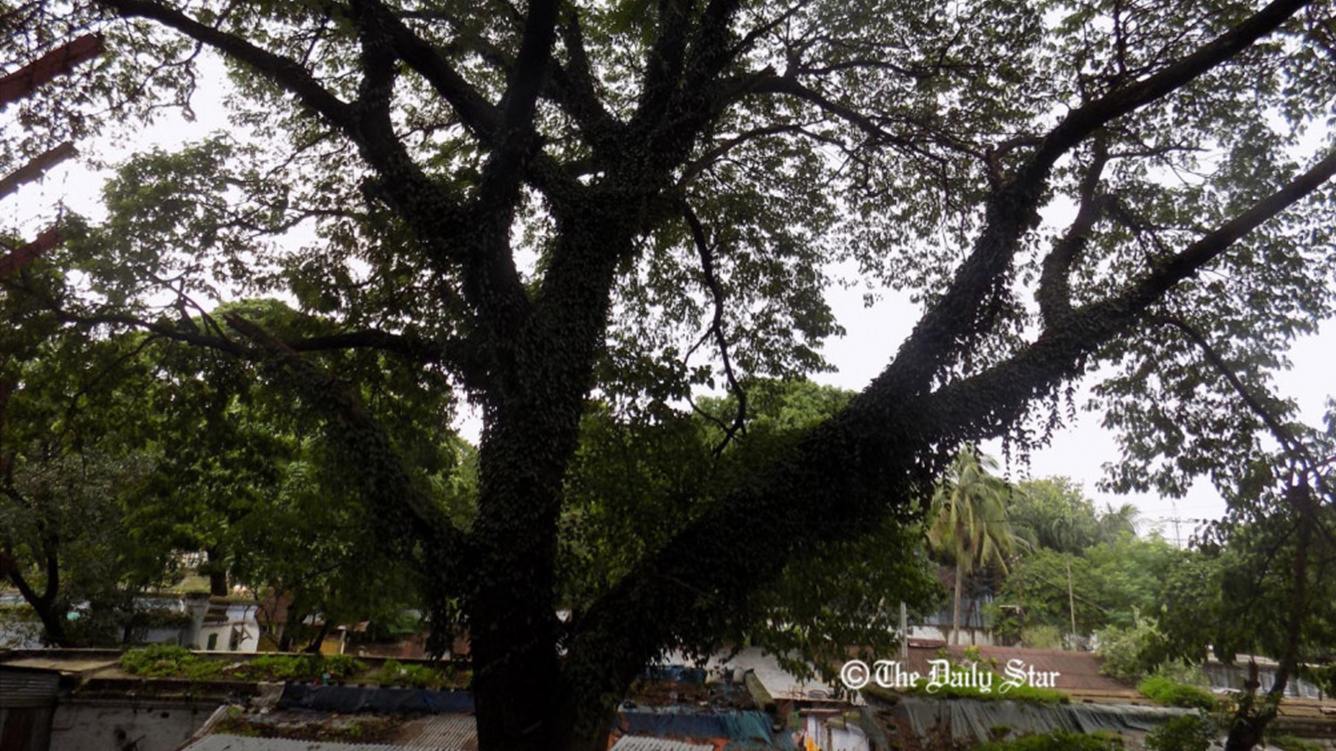 চট্টগ্রামের সিআরবিতে হাসপাতাল না করতে ১০১ নাগরিকের বিবৃতি  