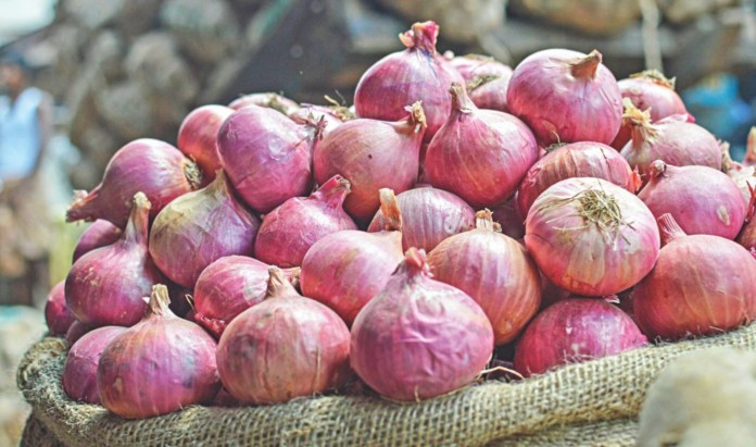 আগামীকাল থেকে পেঁয়াজ আমদানির অনুমতি