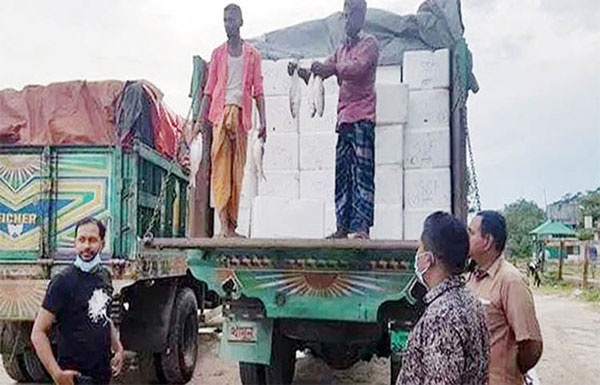 আজ থেকে বেনাপোল দিয়ে আবার ভারতে ইলিশ রপ্তানি শুরু  
