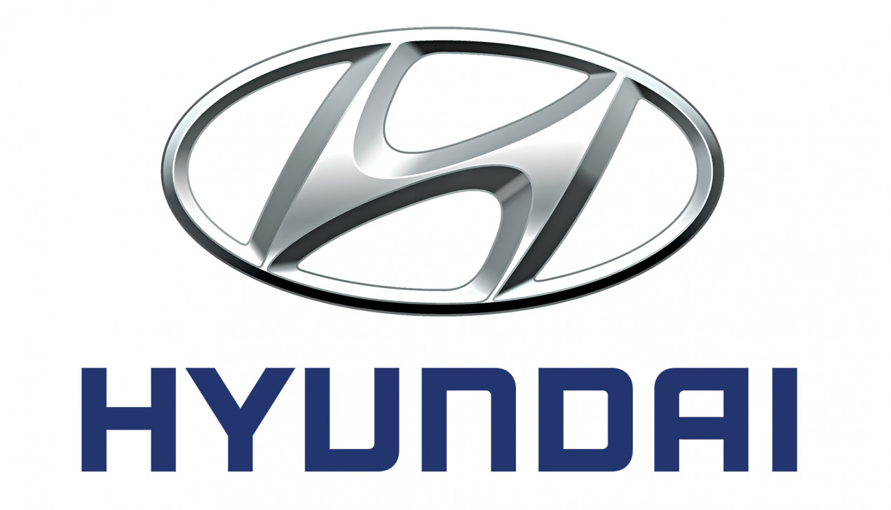 কাশ্মীর নিয়ে টুইট: ভারতে হুন্দাইয়ের গাড়ি বয়কটের আহ্বান