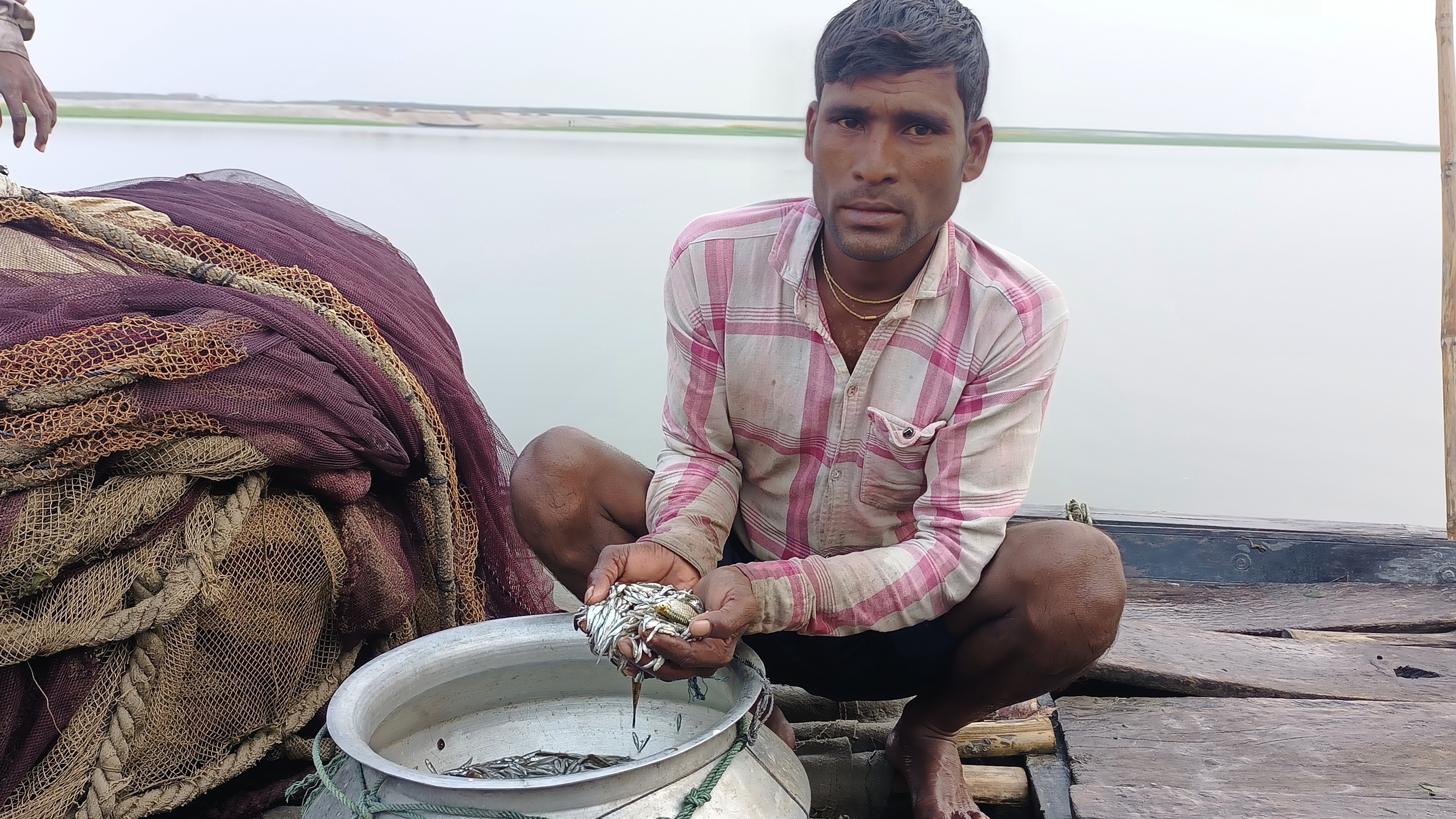 হারিয়ে যাচ্ছে উত্তরের ‘রুপালি’ মাছ বৈরালী