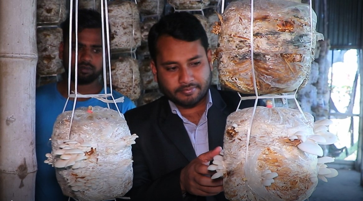 করোনায় বেকার হালিমকে পথ দেখালো মাশরুম