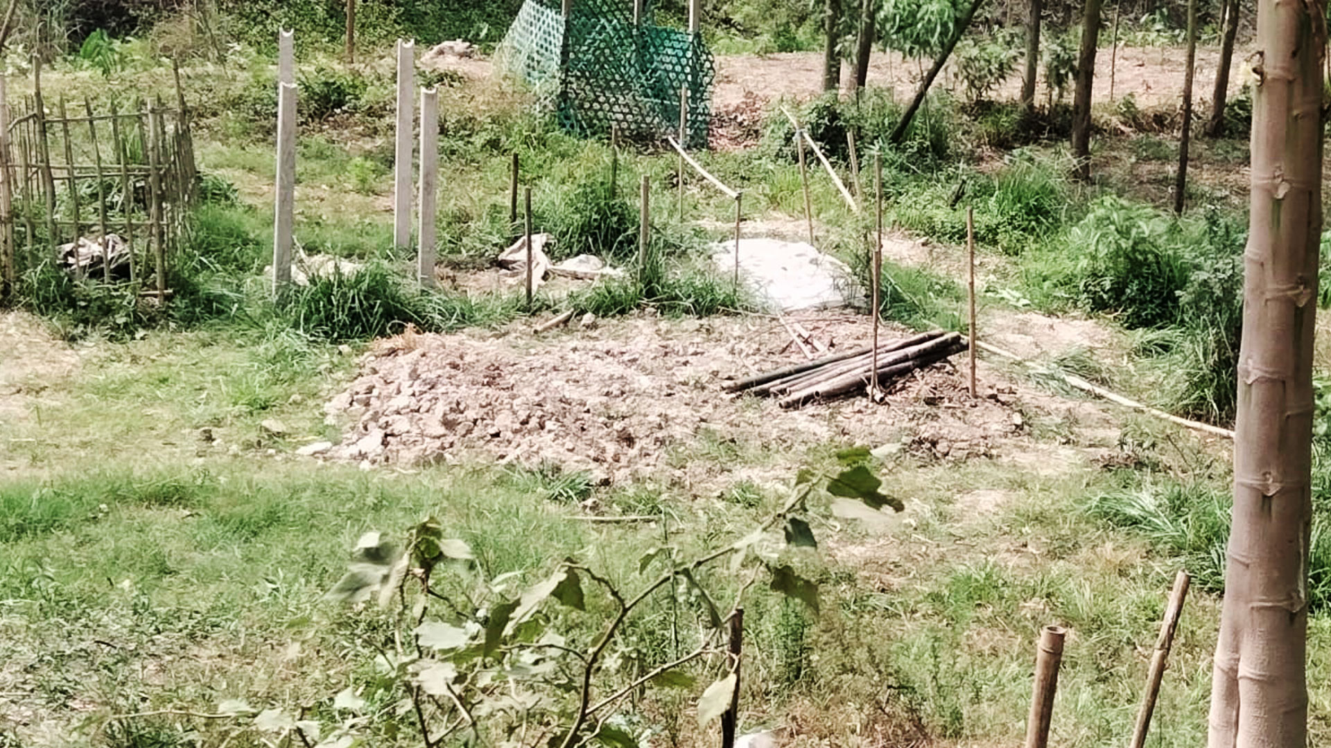 মানিকগঞ্জের কবরস্থান থেকে ৯ কঙ্কাল চুরি