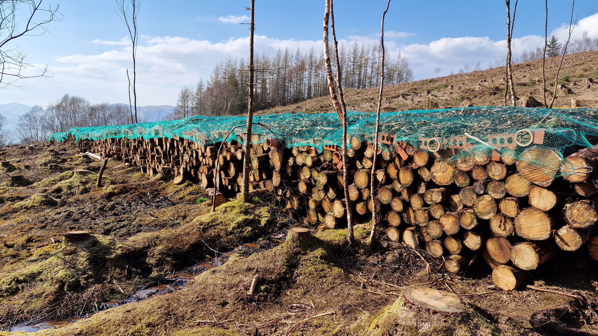 বিশ্বের বৃহত্তম পোকামাকড়ের হোটেল