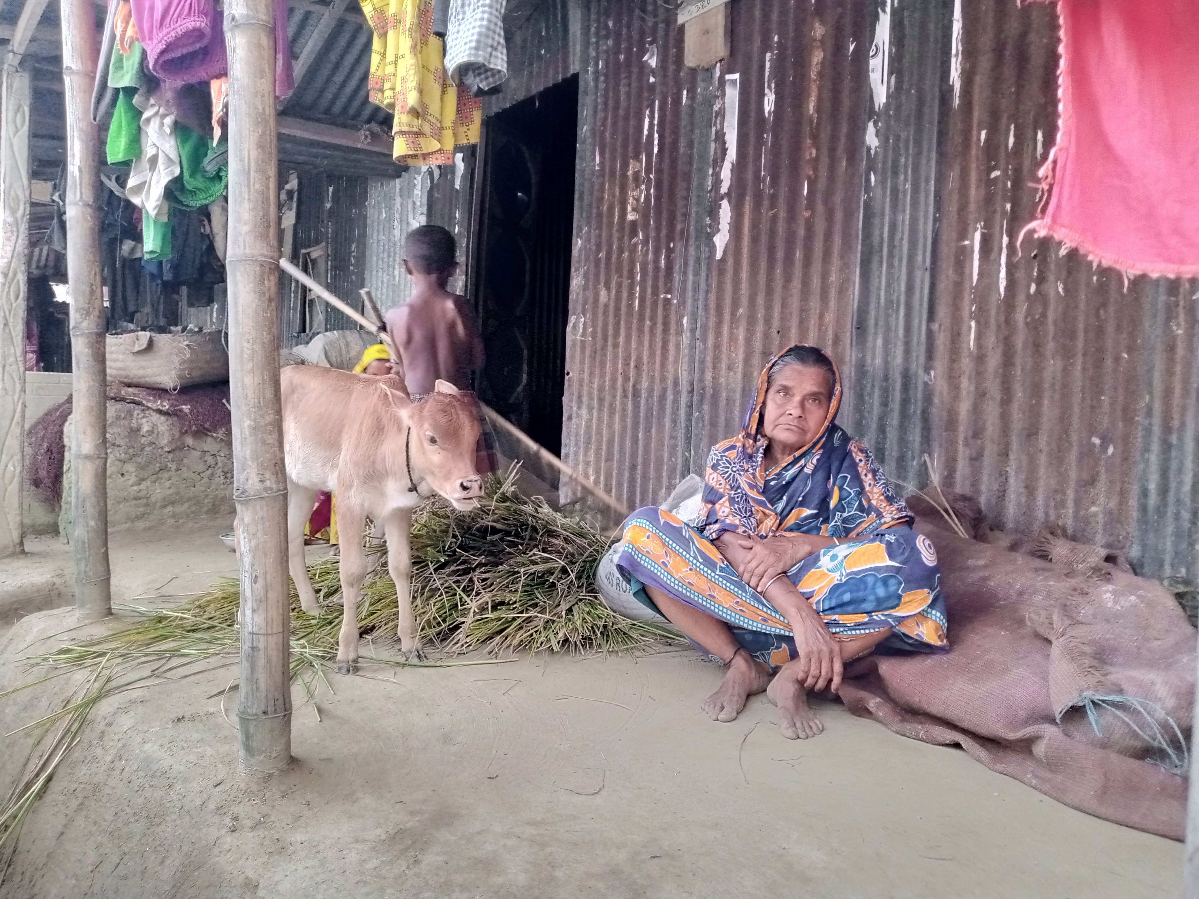 হাওরে ধান হারানোর কষ্টমাখা ঈদ