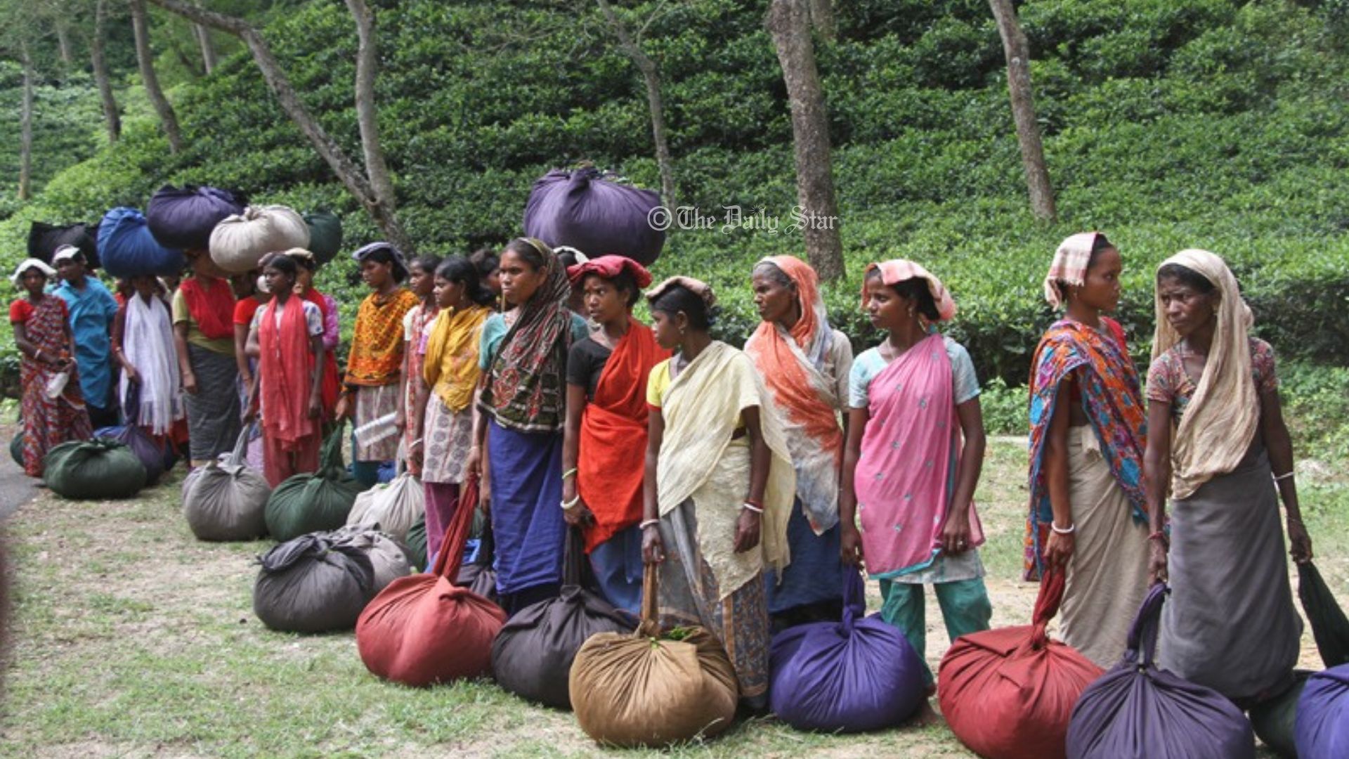 ‘বাবু পিঠের ঝুড়ি পেটে ঠেকছে’