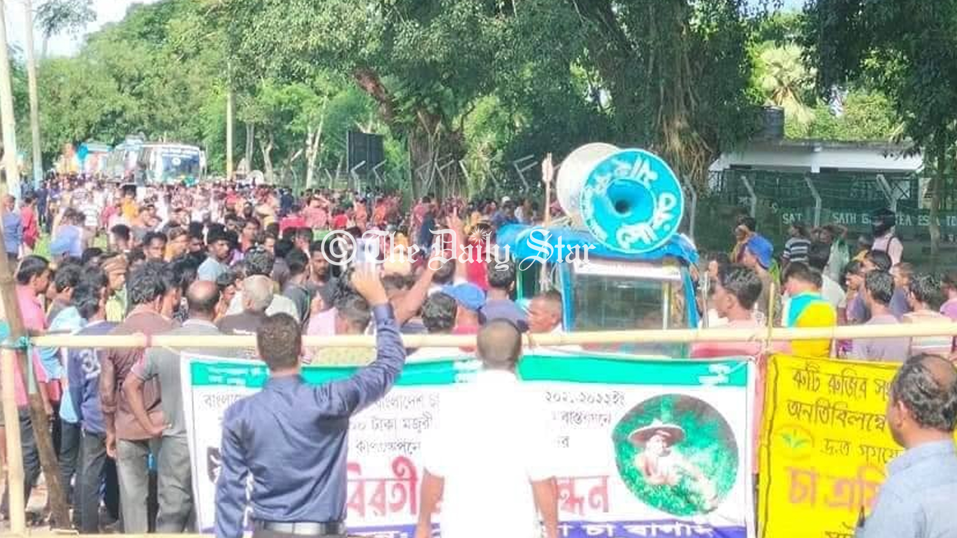 ‘চা-বাগানকে ভালোবাসি বলেই রোদ-বৃষ্টি উপেক্ষা করে কাজ করি’