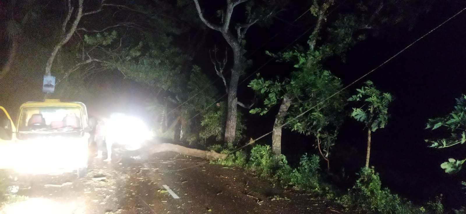 ঘূর্ণিঝড় সিত্রাং: গাছ পড়ে ঢাকা-চট্টগ্রাম মহাসড়কে ৩ ঘণ্টা যান চলাচল বন্ধ