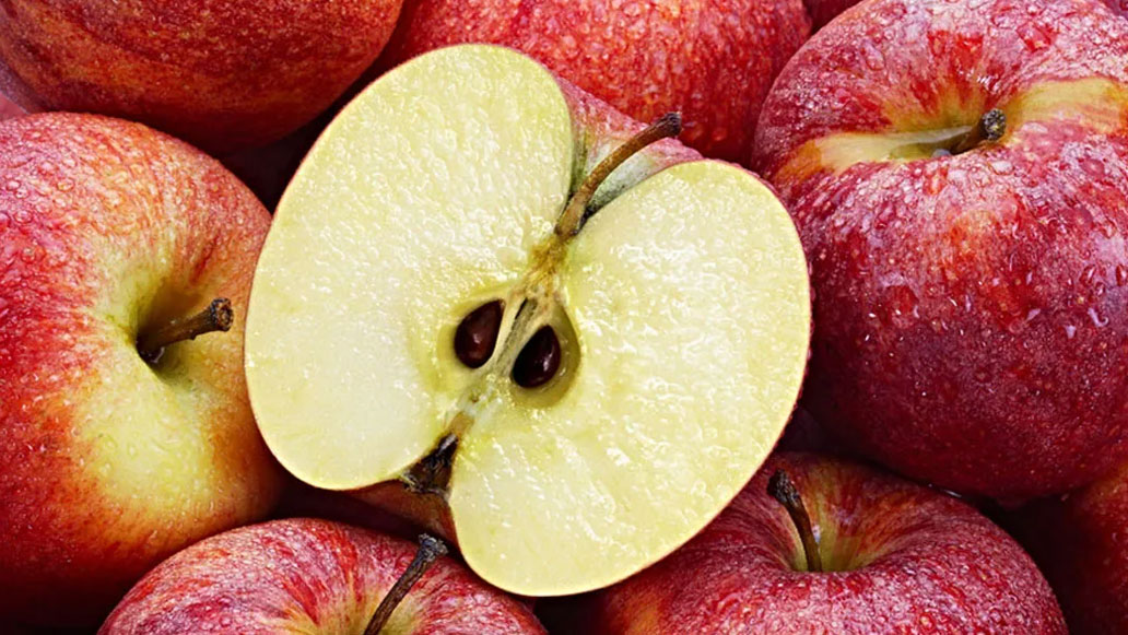 আপেল বীজ কি শরীরে বিষক্রিয়া ঘটাতে পারে