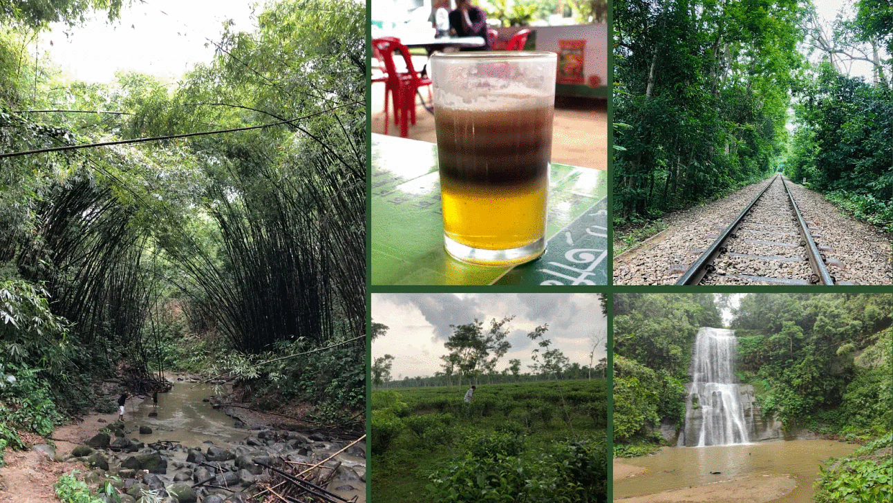 ঘুরে আসুন মৌলভীবাজারের এই ৫ স্থান