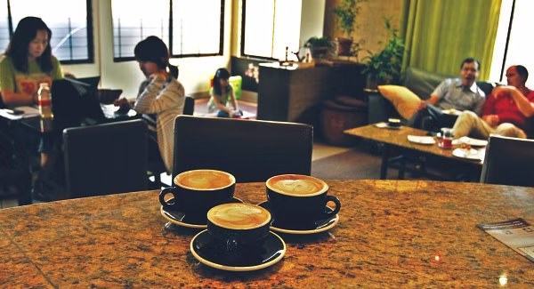 কফি শপে কী করবেন, কী করবেন না