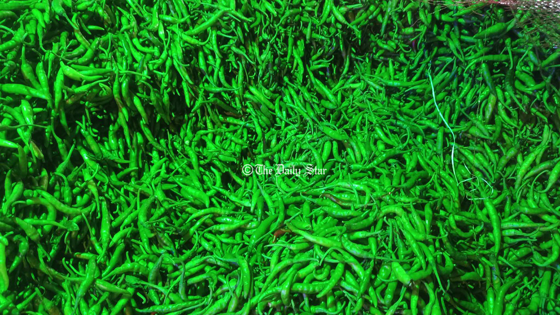 আমদানির প্রভাবে কারওয়ান বাজারে আজ কাঁচা মরিচের কেজি ১৫০ টাকা