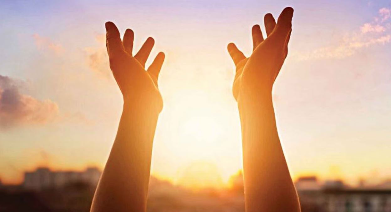 ভিটামিন ডি পাবেন কোন সময়ের রোদে