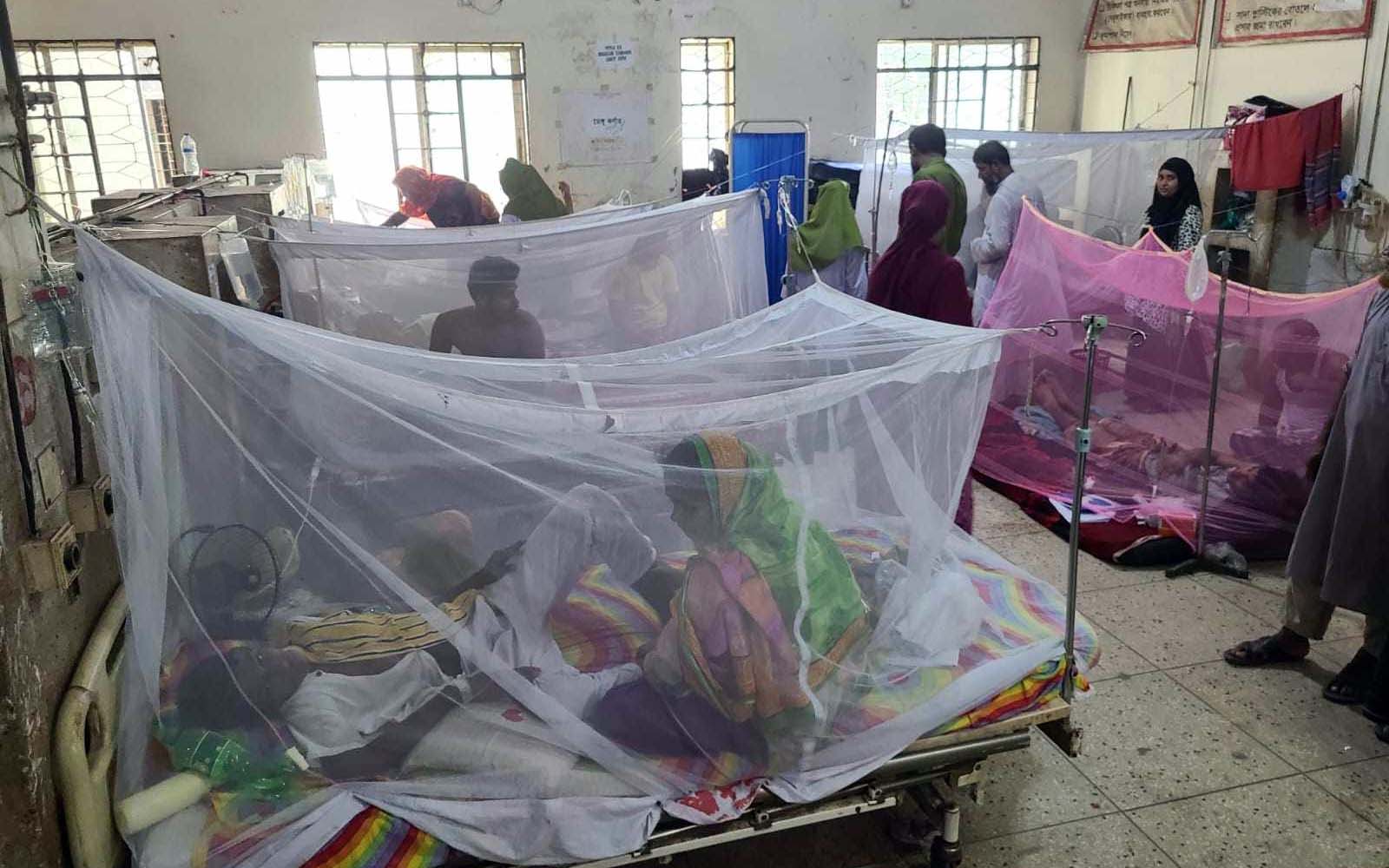 জেলা-উপজেলার ডেঙ্গু রোগীদের ঢাকায় পাঠাবেন না: স্বাস্থ্য অধিদপ্তর