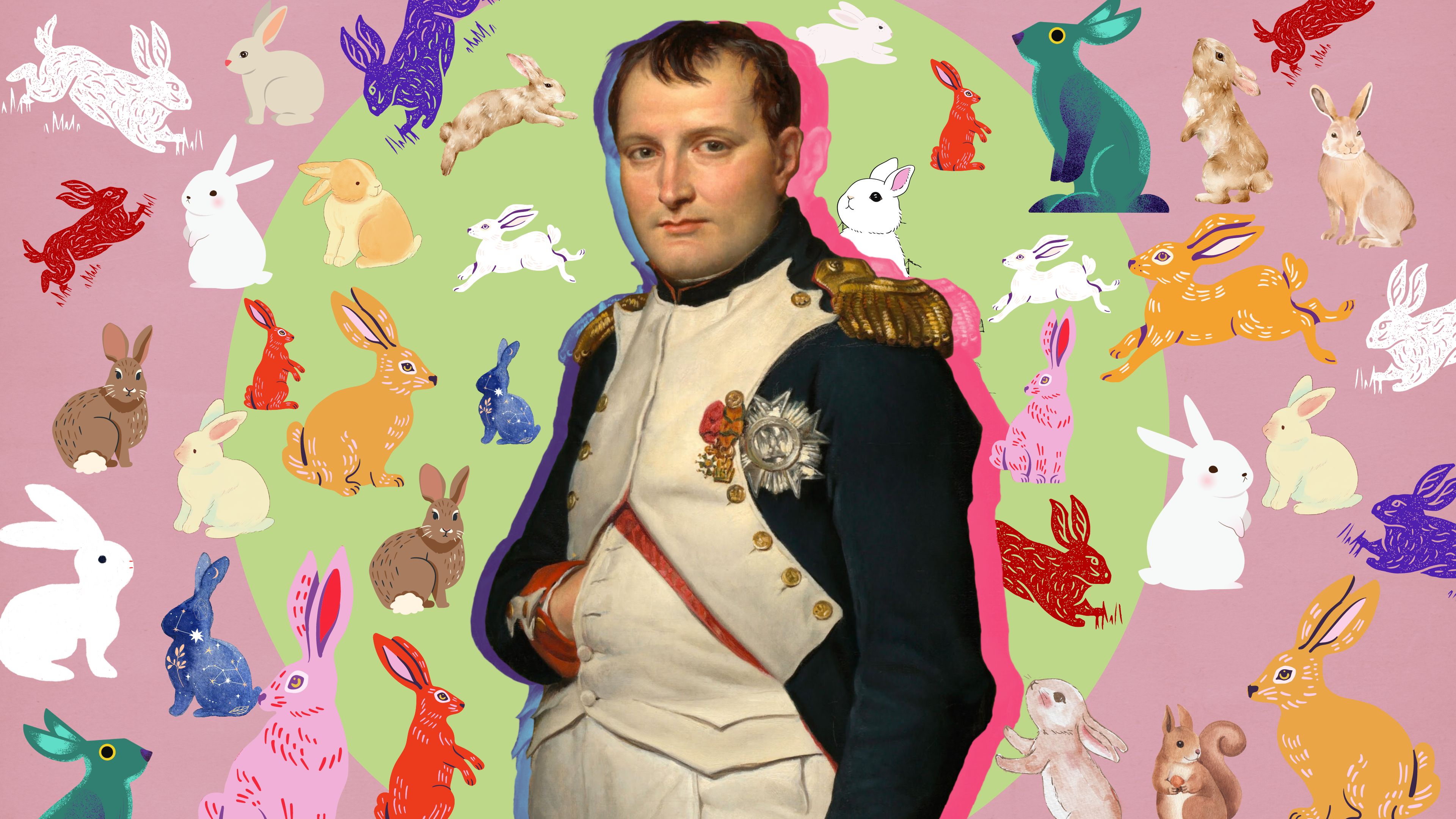 যেভাবে খরগোশের হাতে নাস্তানাবুদ হন নেপোলিয়ন