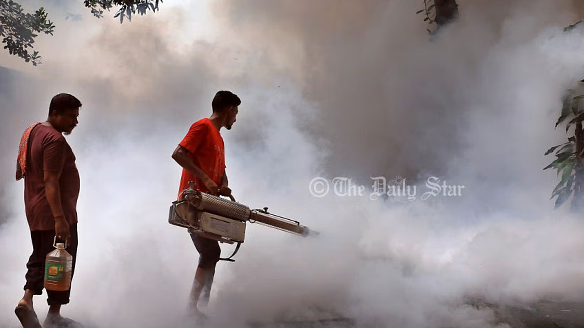 ডেঙ্গু নিয়ন্ত্রণ: কলকাতা পারলেও ঢাকা কেন পারছে না