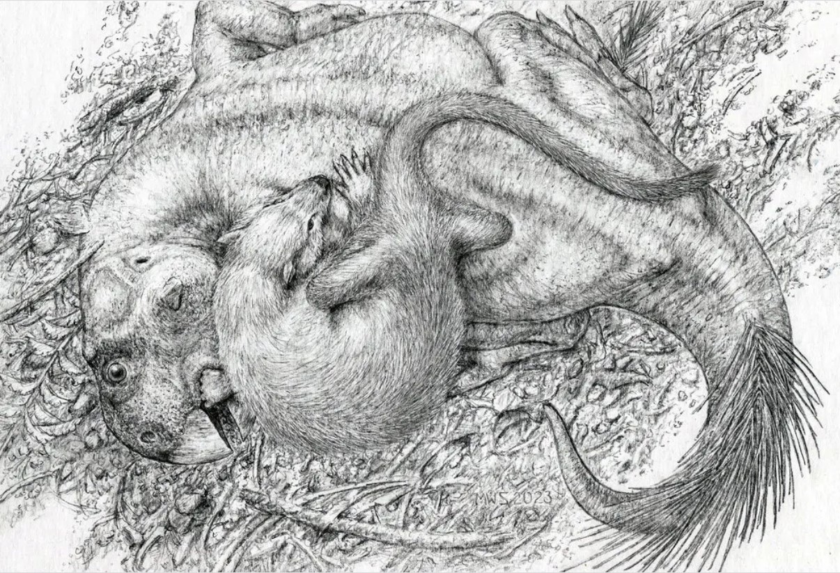 চীনে লড়াইরত ডাইনোসর ও স্তন্যপায়ী প্রাণির জীবাশ্ম উদ্ধার