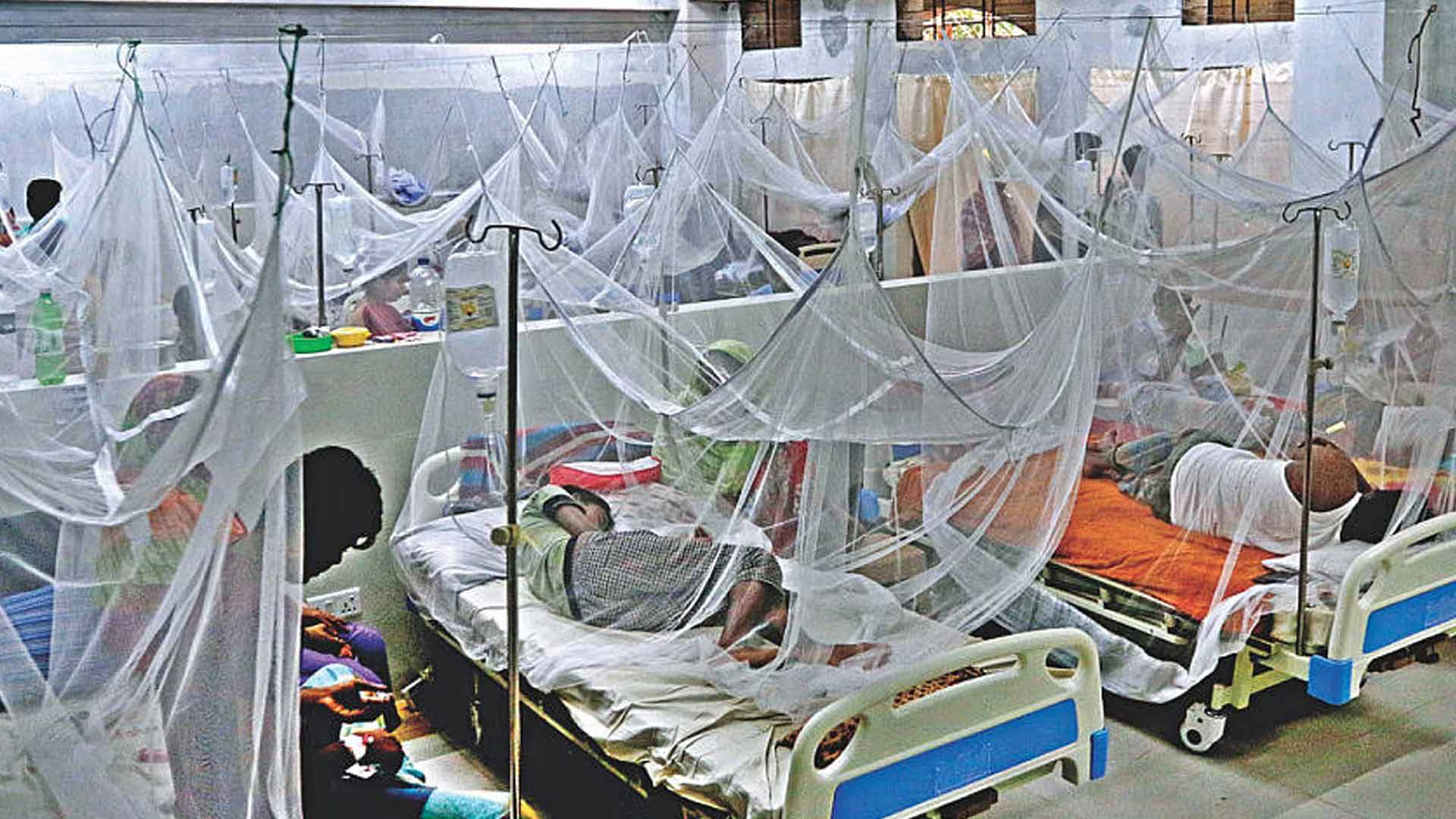ডেঙ্গুর প্রকোপ বাড়ায় হিমশিম খাচ্ছেন নার্সরা