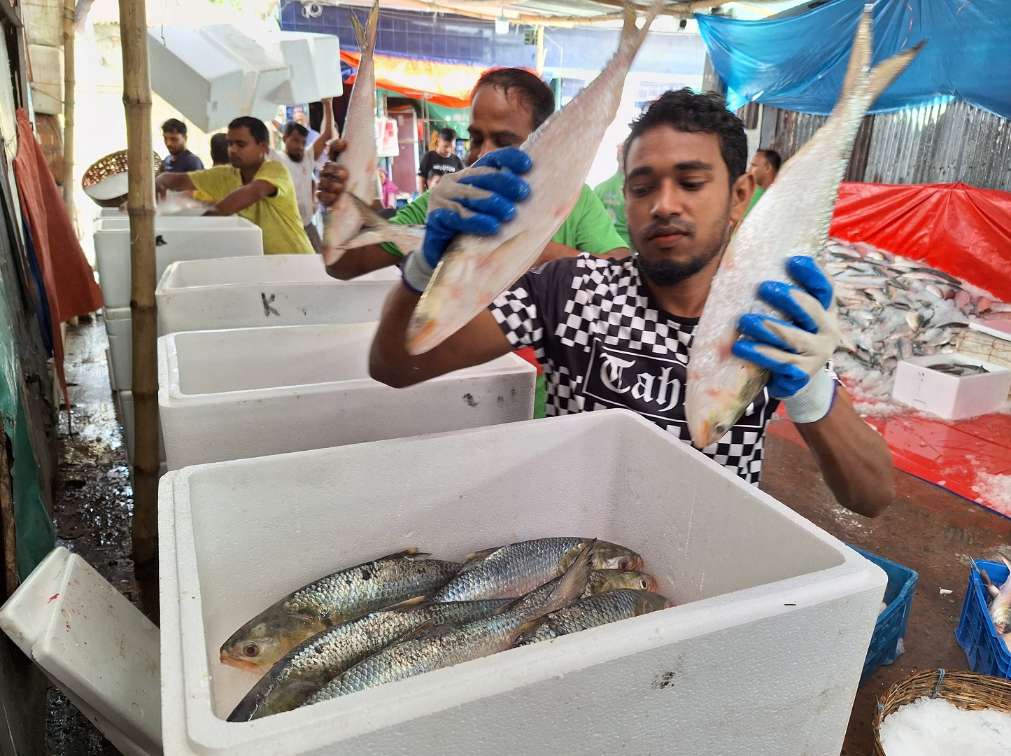 ভারতে রপ্তানি শুরু হতেই বরিশালে আড়তে বেড়েছে ইলিশের দাম