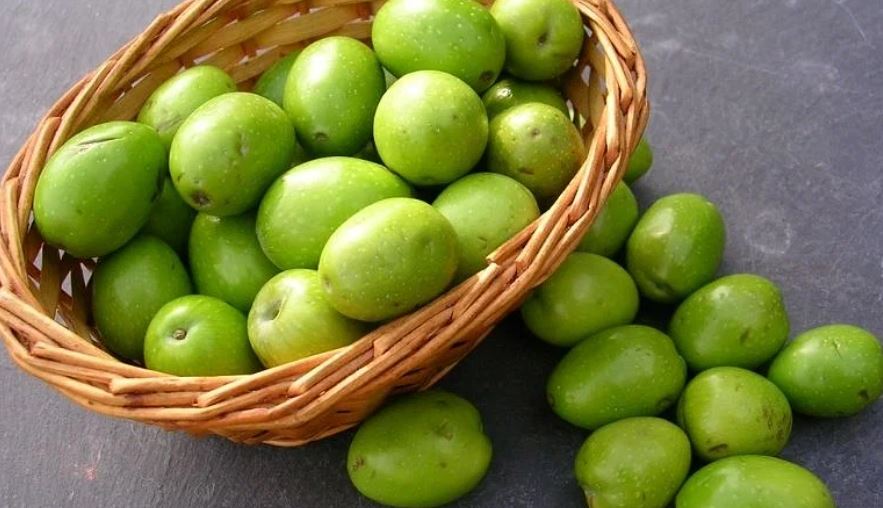 জলপাইয়ে সুস্বাদু মুরগির ঝোল, দেখে নিন আরও ৩ রেসিপি