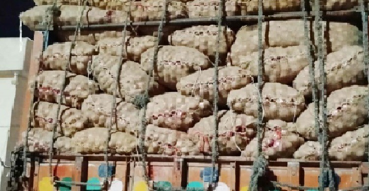 বেনাপোলে টিসিবির ৯০ মেট্রিক টন পেঁয়াজ ৫ দিনেও খালাস হয়নি, নষ্ট হওয়ার আশঙ্কা