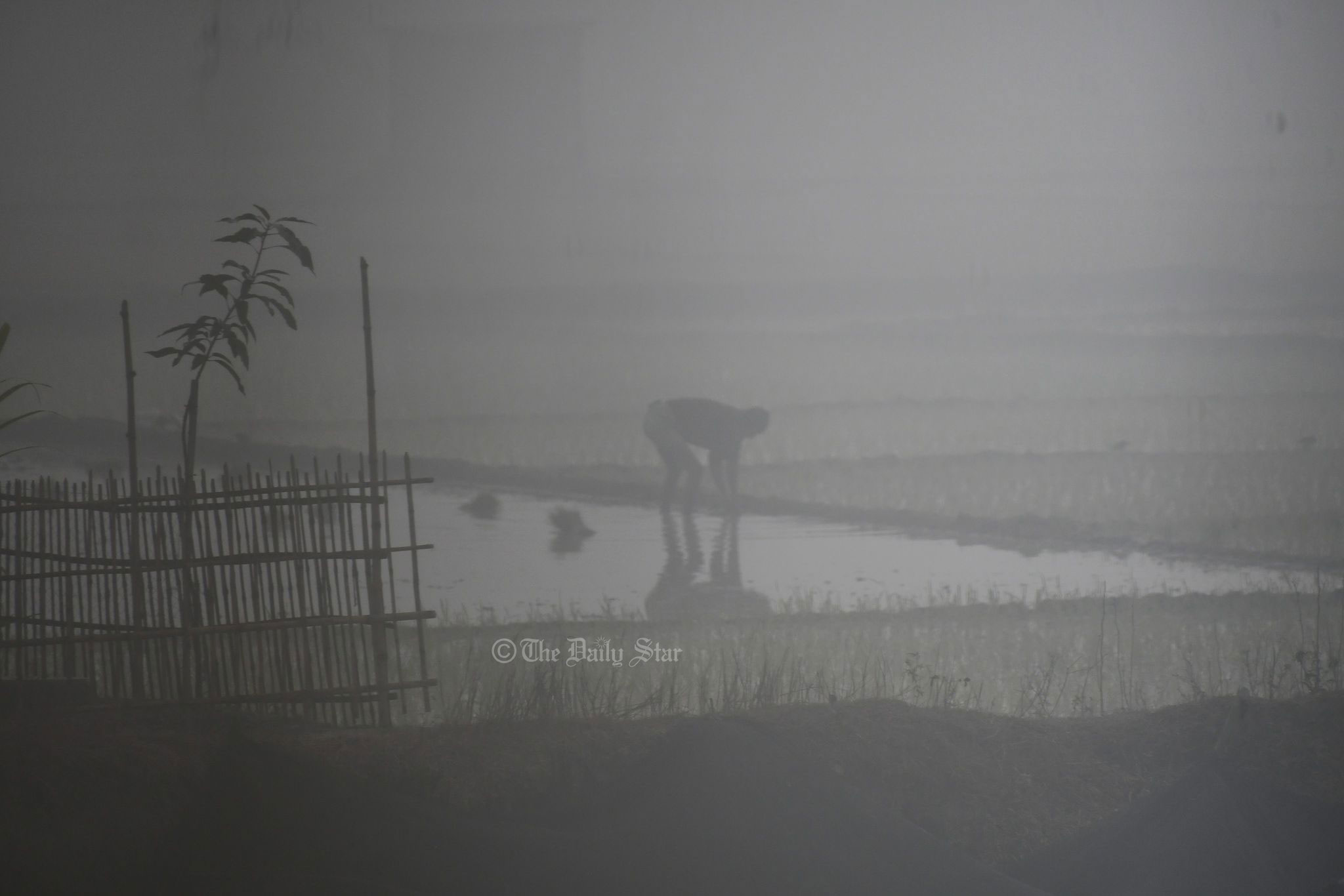 আজ তেঁতুলিয়ায় মৌসুমের সর্বনিম্ন তাপমাত্রা ৫ ডিগ্রি সেলসিয়াস