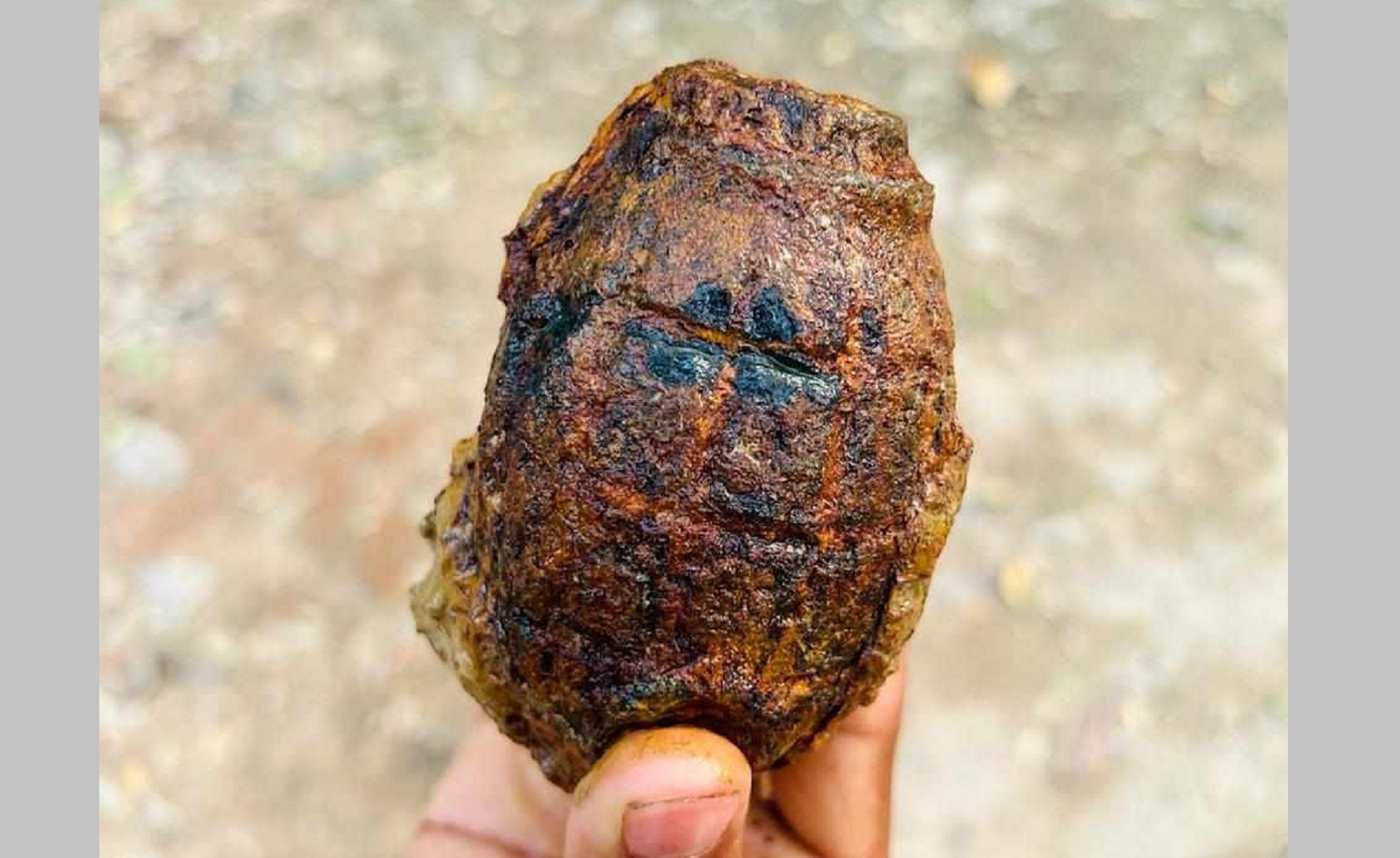 চট্টগ্রামে কবর খুঁড়তে গিয়ে পাওয়া গেল গ্রেনেড