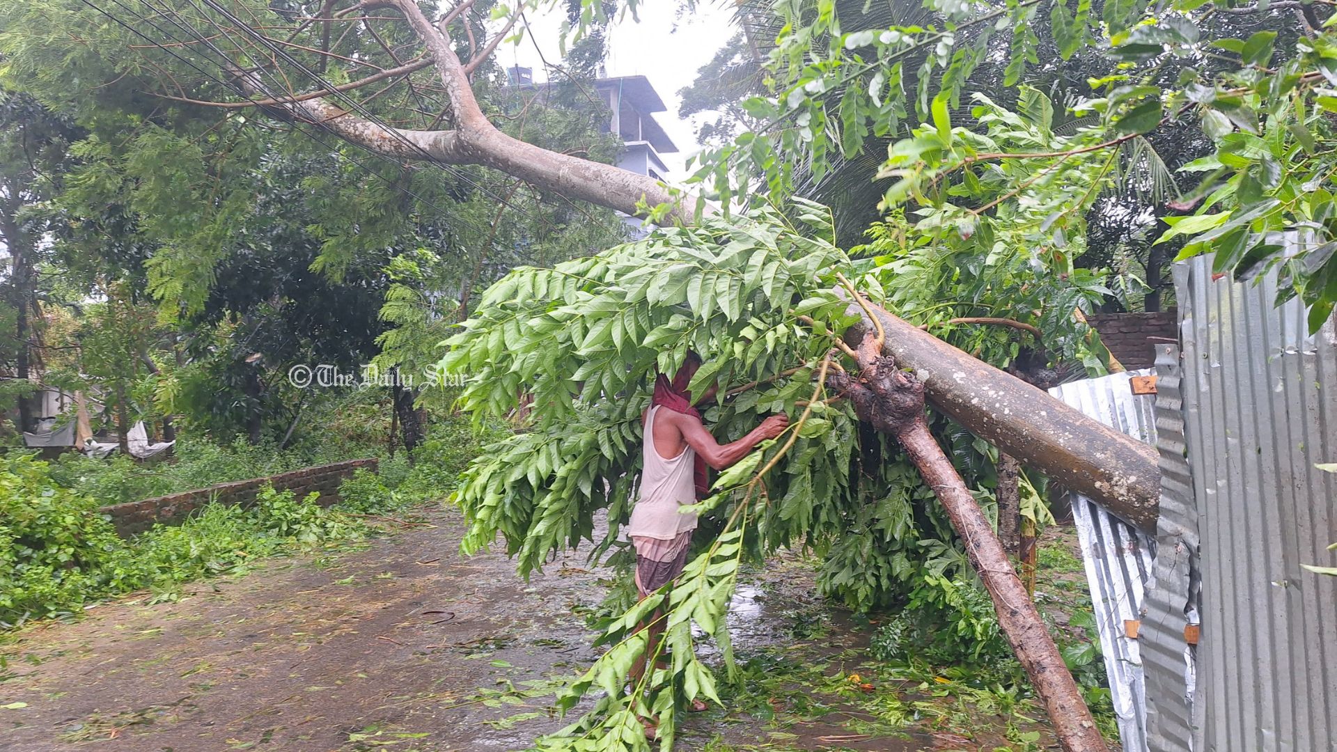 বিদ্যুৎবিচ্ছিন্ন দেশের অর্ধেকের বেশি গ্রাহক, উৎপাদন নেমেছে এক-তৃতীয়াংশে