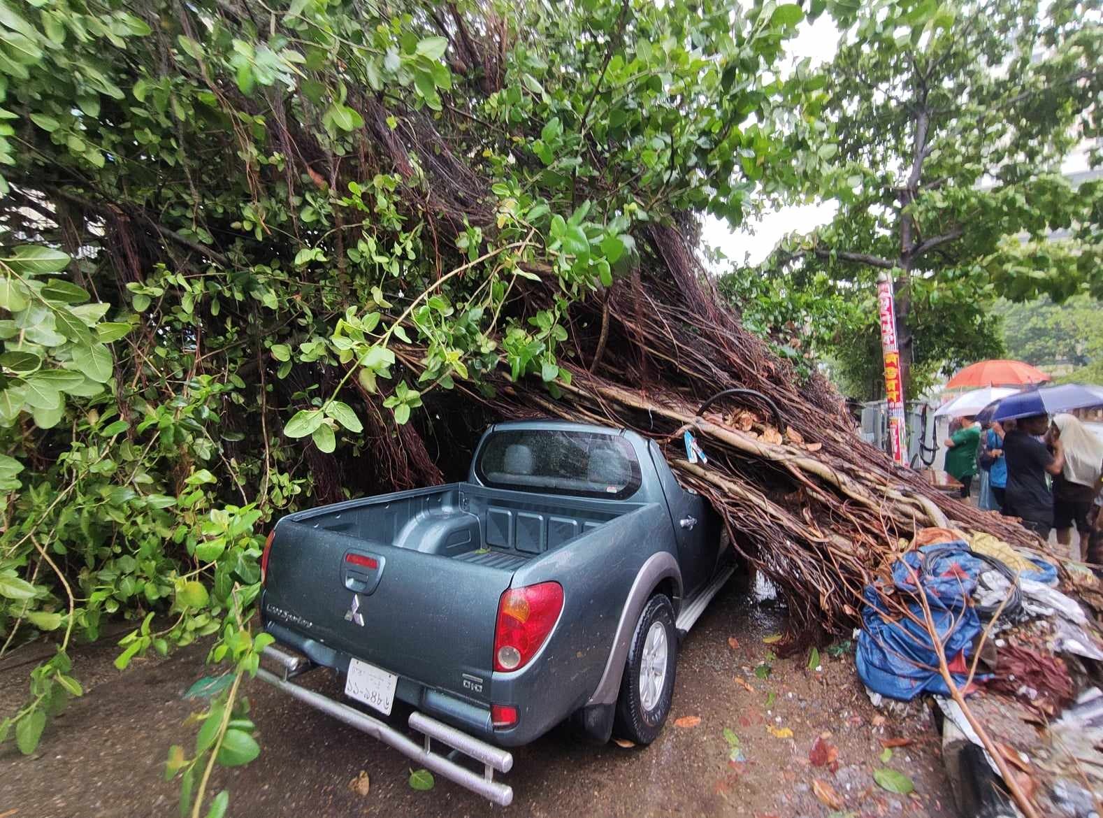 রাজধানীর কয়েকটি এলাকায় গাছ পড়ে যান চলাচল ব্যাহত