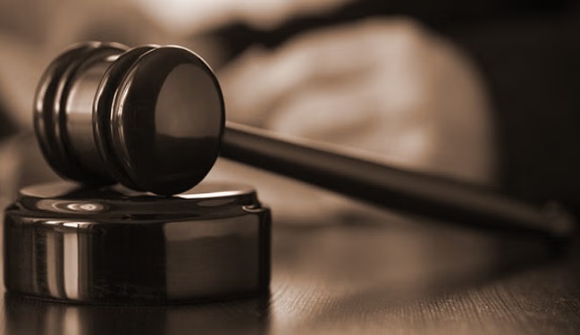 কবি সোহেল হাসান গালিব ২ দিনের রিমান্ডে