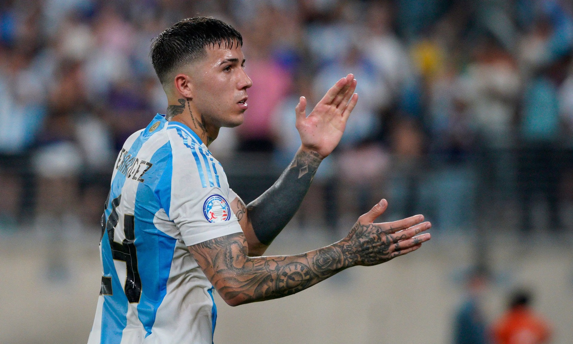 ফ্রান্স দলকে নিয়ে আর্জেন্টিনার বর্ণবাদী গান, ক্ষমা চাইলেন এঞ্জো