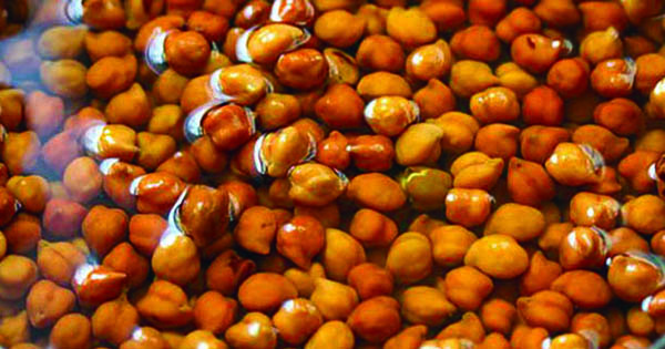 কাঁচা ছোলা স্বাস্থ্যের জন্য কতটা উপকারী?