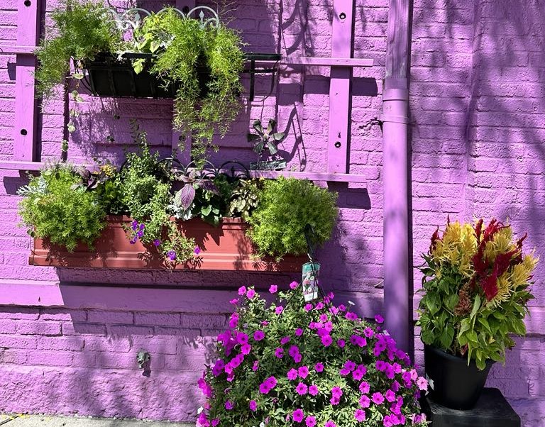 ওহাইওর সিনসিনাটি শহরে একদিন 