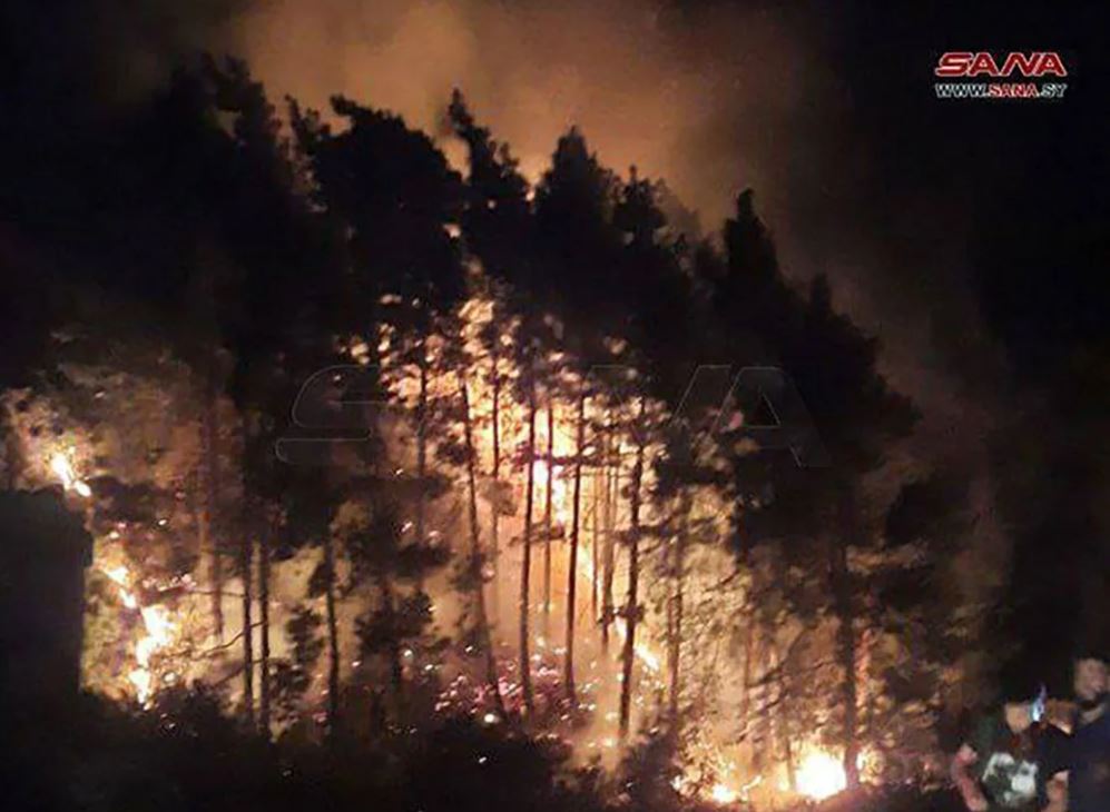 সিরিয়ায় ইসরায়েলি বিমান হামলায় নিহত ১৪, আহত অন্তত ৪৩