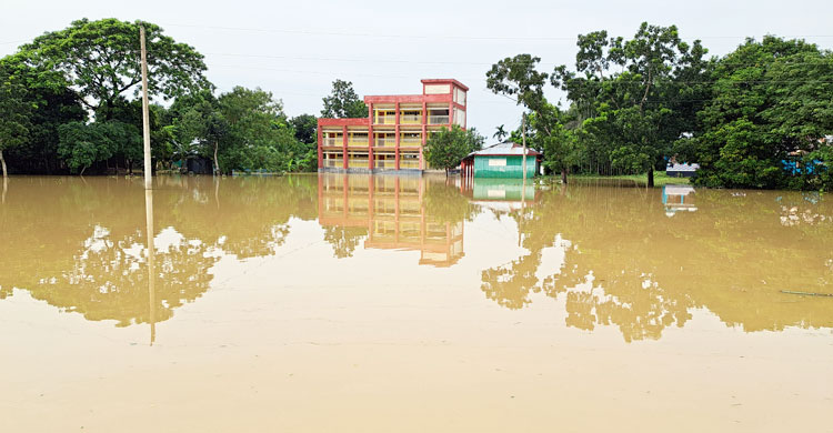 নেত্রকোনা: বন্যায় ভেসে গেছে দেড় হাজার পুকুরের মাছ