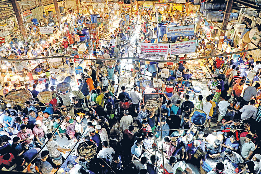 ইলিশ: রূপালি জৌলুসের বিপরীতে জেলেদের বিবর্ণ জীবন