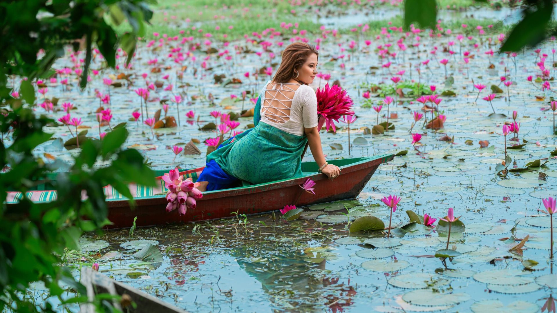 ঘুরতে যেতে পারেন যে ৫ শাপলা বিলে