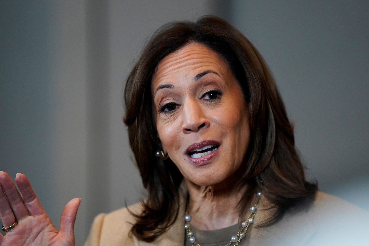 ইসরায়েল ও গাজা নিয়ে দুই রাজ্যে দু-ধরনের প্রচারণা কমলার