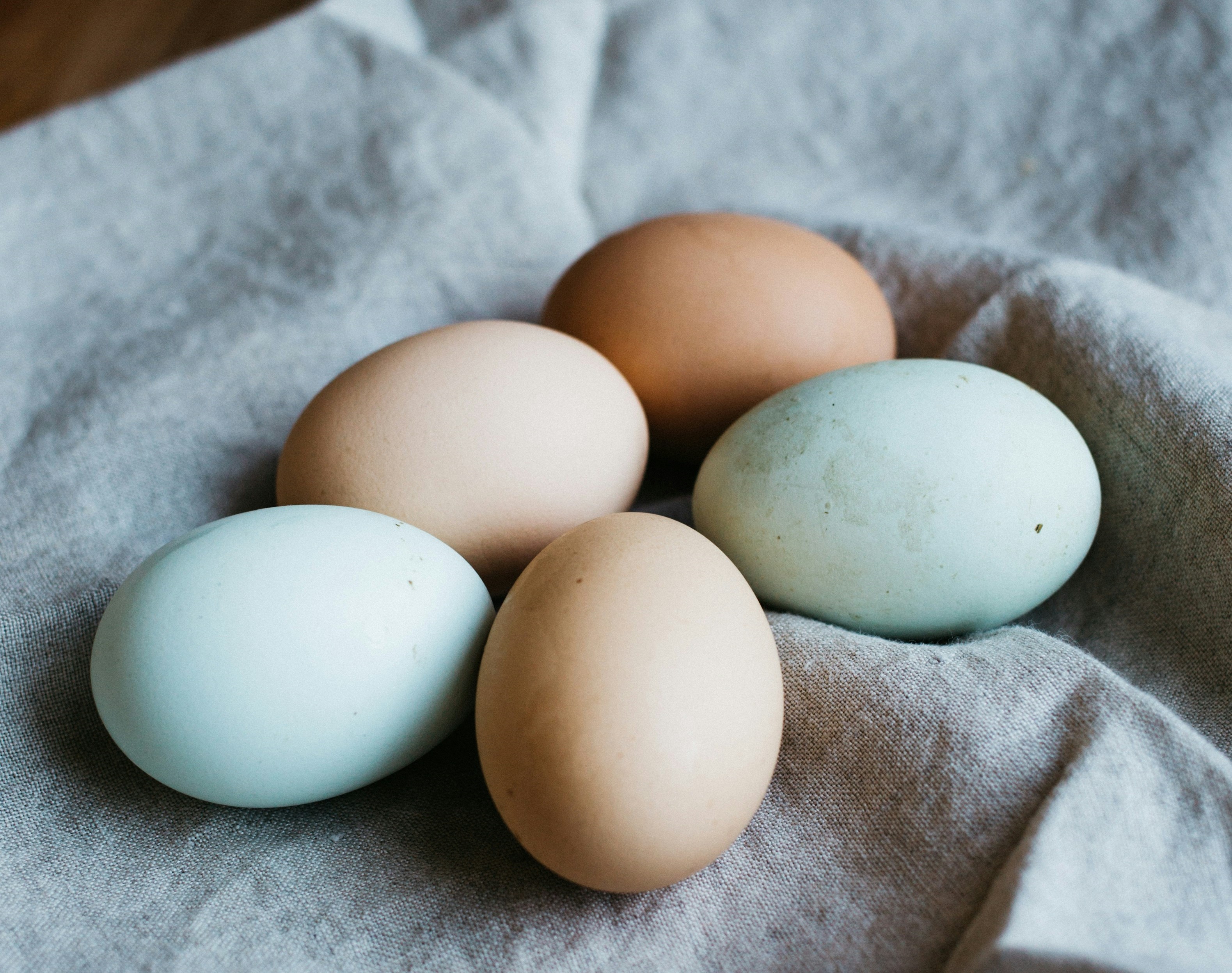 হাঁসের নাকি মুরগির ডিম খাওয়া ভালো