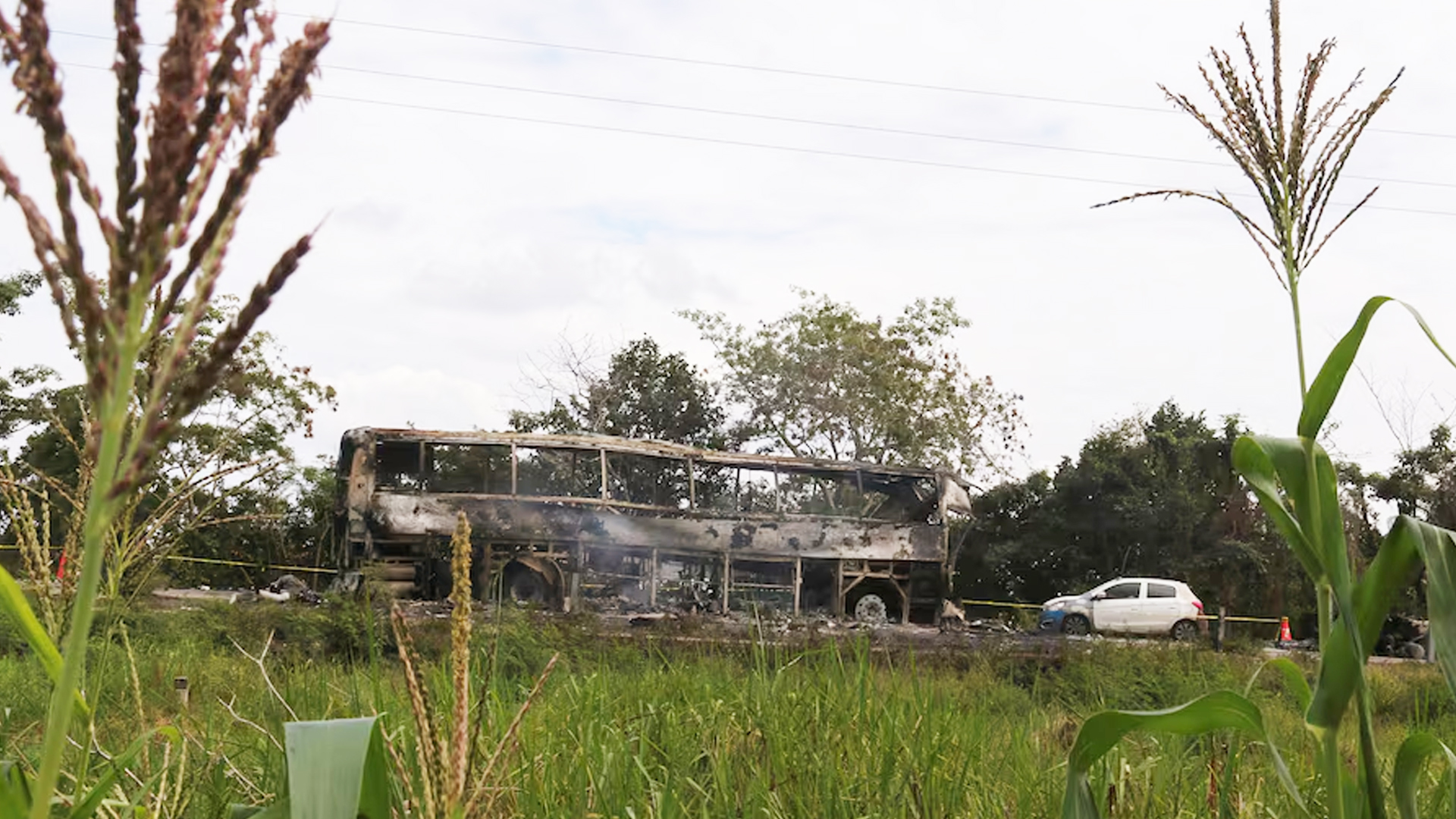 মেক্সিকোতে বাস দুর্ঘটনায় নিহত ৪১