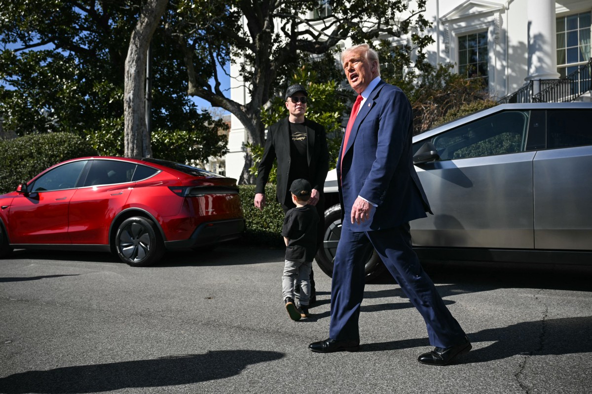 হোয়াইট হাউসের সামনে টেসলাসহ ট্রাম্পের ছবি, বাড়ল শেয়ারের দাম