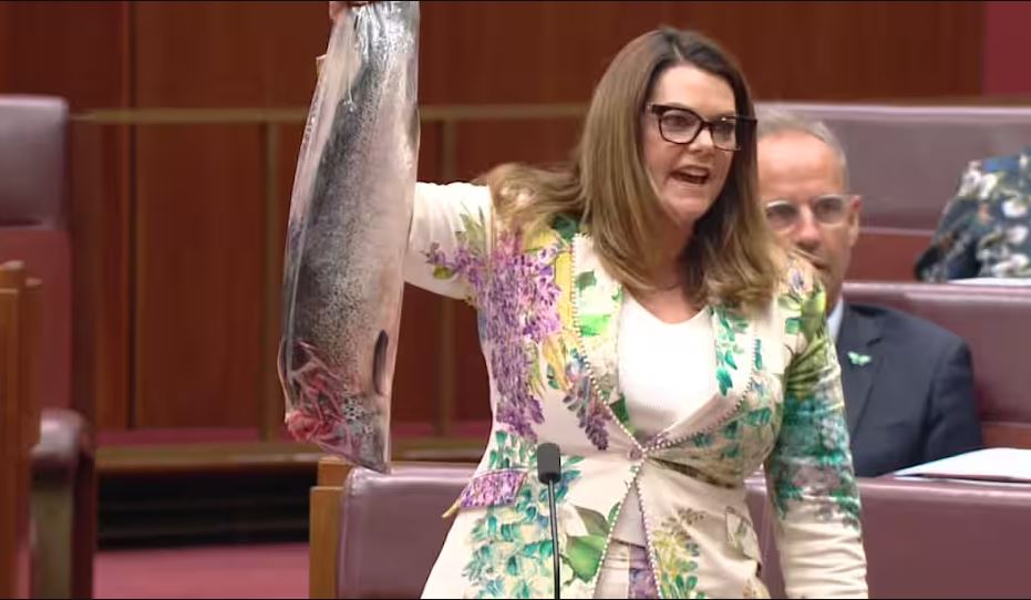 অস্ট্রেলিয়ার সিনেটে মরা-পচা মাছ উঁচিয়ে আইনপ্রণেতার প্রতিবাদ