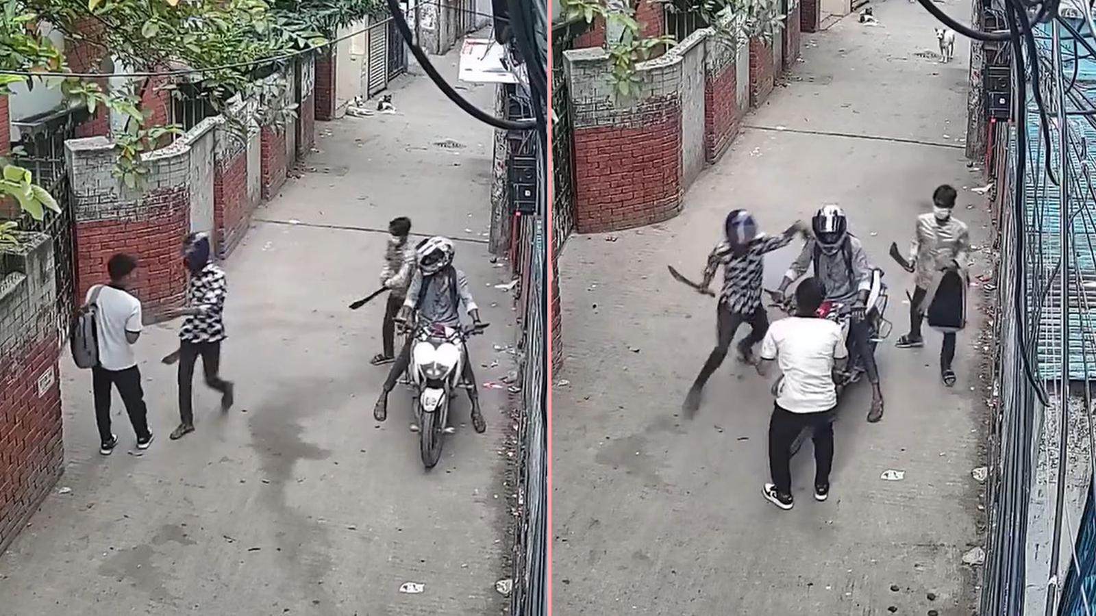 মগবাজারে প্রকাশ্য দিবালোকে ধারালো অস্ত্র নিয়ে ছিনতাই, ভিডিও ভাইরাল