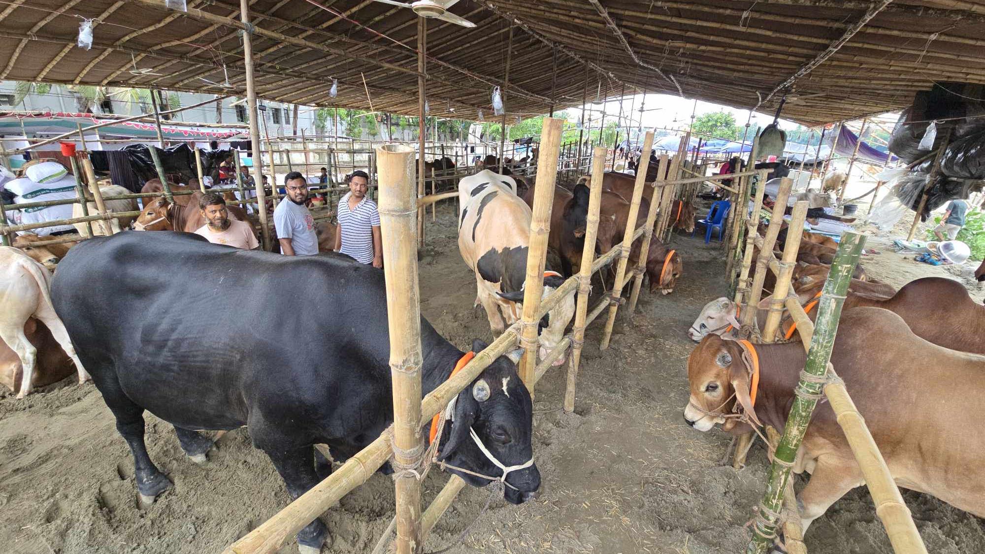 ঢাকায় বর্জ্য অপসারণে ২০ হাজার পরিচ্ছন্নতাকর্মী, ২৪ ঘণ্টায় শহর পরিষ্কারের লক্ষ্য