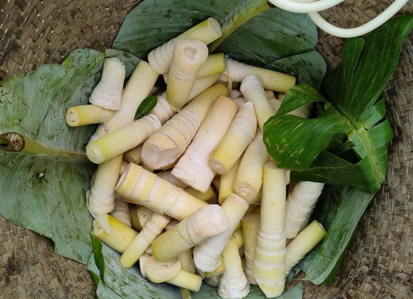 সুস্বাদু পাহাড়ি খাবার বাঁশ কোড়ল