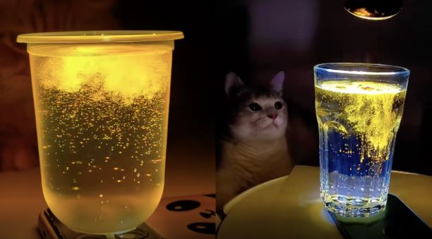 এক গ্লাস পানি আর হলুদ গুঁড়ো: অনলাইন দুনিয়ায় নতুন ট্রেন্ড